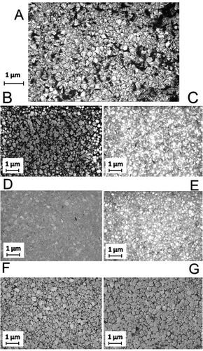 Figure 2. SEM images of the NCD films. (A) Shows the as-grown NCD film and is included here for comparison with the polished films. (B) NCD film after three hours of basic alumina polishing. (C) NCD film after three hours of acidic alumina polishing. (D) NCD film after three hours of basic silica polishing. (E) NCD film after three hours of acidic silica polishing. (F) NCD film after three hours of basic ceria polishing. (G) NCD film after three hours of acidic ceria polishing. It is clear just from these images that there is a variation in the roughness reduction of the different slurries. The films polished by basic silica (D), acidic silica (E) and acidic alumina (C) are significantly smoother than the as-grown film (A). Whereas the surfaces polished by basic ceria (F), acidic ceria (G) and basic alumina (B) look similar to the as-grown film. Interestingly, there is a variation between the acidic and basic slurries containing alumina particles but not for the other two particles. These results agree with the AFM measurements.