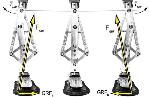 Figure 4. Mediolateral motion of the prototype. Assuming this is a right foot, a hip abduction (left image) or adduction (right image) moment will rotate and translate the femur with respect to the foot. A coupled but smaller counter-rotation (foot eversion, left image; foot inversion, right image) occurs, resulting in a combined functional change in both GRFh and CoP. Note that forces are not drawn to scale.