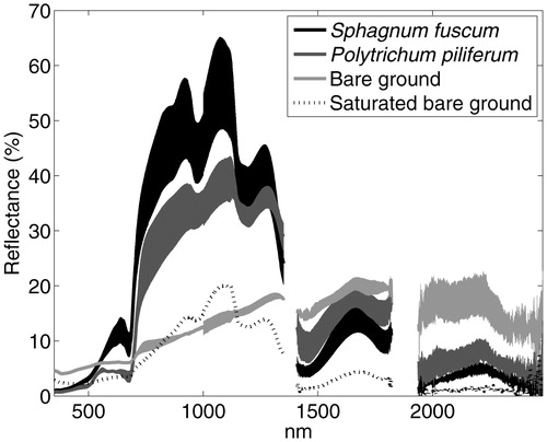 FIGURE 5. The mean and standard deviation of the spectral reflectance of four plots of Sphagnum fuscum, three plots of Polytrichum piliferum, two representative patches of bare ground, and a patch of saturated bare ground in a tundra ecosystem near Abisko, Sweden.