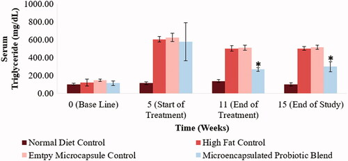 Figure 6. Effect of microencapsulated probiotic blend treatment on hamster serum triglyceride levels. The microencapsulated probiotic blend caused a significant reduction of triglyceride levels (p < .05). (N = 5). (*) – Significant reduction compared to high-fat control group at the same time point.