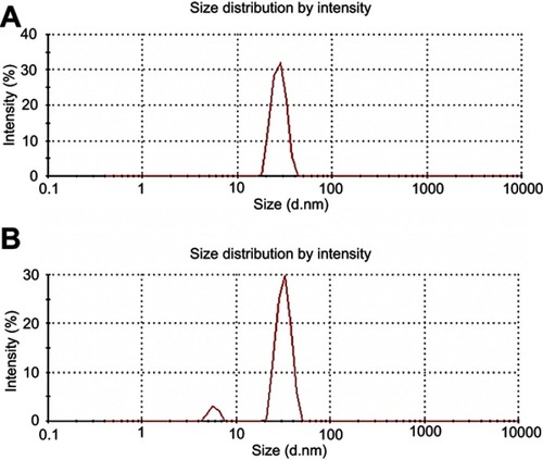 Figure S4 Intensity particle size distribution of 5% OCP copolymer (A) and 10% OCP copolymer nanoparticles (B) dispersed in distilled water (n=3). n: number of samples.Abbreviation: OCP, O-succinyl chitosan graft Pluronic® F127.