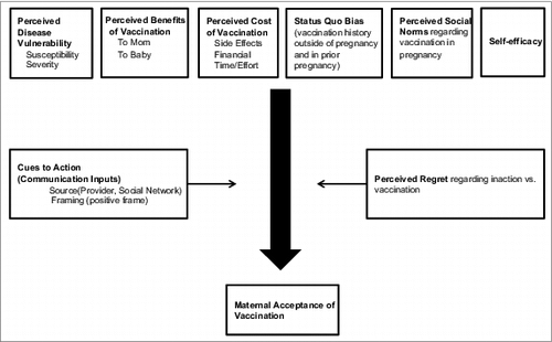Figure 2. Modified health belief model as a theoretical framework for maternal acceptance of vaccination.