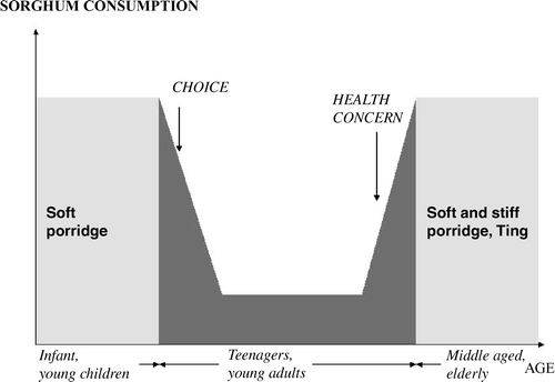 Figure 2 Consumption of sorghum-based products at different ages