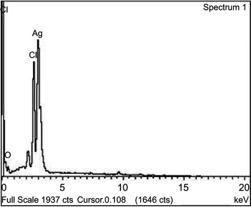 Figure 2 Energy dispersive X-ray analysis of the synthesized nanoparticles.