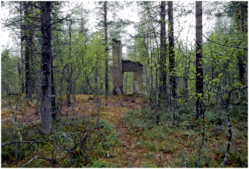 Figure 7. Overgrown German barrack foundations (Photograph: Oula Seitsonen).