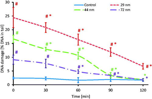 Figure 11. Time course of the repair kinetics of DNA damage (SSBs and DSBs), measured as DNA in comet tail of PBMCs treated for 24 h with PS-NPs of 29, 44, and 72 nm in diameter in the concentration of 100 μg/mL, and then post-incubated for 2 h in medium deprived of tested particles. (*) Statistically significant different from control (p < 0.05). (#) Statistically significant different from time "0" for individual PS-NPs size (p < 0.05). Each value represents the mean ± SD (n = 5).