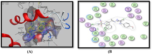 Figure 8. Binding mode of 4e inside COX-2 active site, (A) 3D visualisation of 4e (yellow colour) superimposed with celecoxib (cyan colour), indicating good fitting inside the pocket, (B) 2D binding mode of 4e inside COX-2 active site showing two H-bonding interactions with Ser516 and Phe504 amino acid residues and three arene-H interactions with Ser339 and His75 amino acid residues.