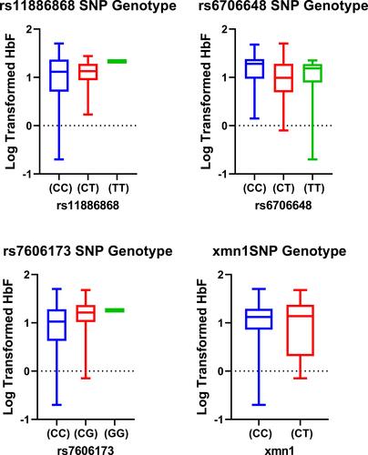 Figure 3 Box plots distribution of HbF levels (log-transformed) within the SNP genotypes for HU+ group. Data were compared with Mann–Whitney U-test using a dominant model (ie, homozygous genotypes for the wild type allele versus homozygous and heterozygous for the mutant allele).