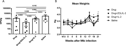 Figure 6. Adjunctive ZOL/IL-2 administrations after MDR-Mtb infection led to lower MDR-Mtb bacterial burdens in lungs than TB drugs alone, IL-2 alone or saline controls, and resulted in body weight gains at weeks 17-21. (A). Graph data show mean CFU counts ± SEM per gram of lung tissue homogenates for right lung lobes obtained at endpoints from 4 groups of MDR-Mtb-infected macaques. To optimally uncover potential differences between groups in MDR-Mtb V791 infection and TB lesions, each of macaques in four studied groups were injected subcutaneously with Adalimumab during the last 4 weeks before the endpoint [Citation13]. Such unbiased Adalimumab treatment allowed for enhancing and reactivating any inactive or latent MDR-Mtb infection that had been potentially contained through ∼4 months of intermittent TB drug treatments and immune-based interventions. Statistical analysis was done using ANOVA test, with p-values indicated for comparisons between groups. (B). The graph data show changes in mean body weights for 4 groups of macaques over time after MDR-Mtb strain infection and treatments. Baseline values for body weights were shown as 0, with positive changes indicating weight gains relative to the baseline body weights, and negative ones being weight loss. Based on published TB studies in cynomolgus macaques, consecutive changes in >0.25 (>25%) were considered significant.