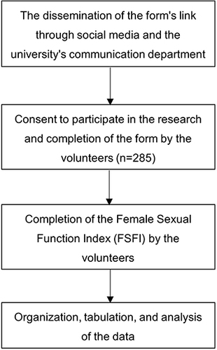Figure 1 Flowchart of the research procedures.