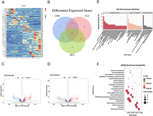 Figure 1 Bioinformatics analysis of transcriptomics data. (A) Clustering Heatmap of DELs among CHB, LF/LC and HCC tissues. The columns represented the clinical liver samples, and the rows indicated as DELs. Blue and red indicate down- and up-regulation, respectively. (B) Venn diagram showing the differential expression level of each lncRNA of the three comparison groups. Volcano plots for DELs between CHB and HCC (C) as well as LF/LC and HCC (D) groups. The red points indicated up-regulated lncRNAs, while the blue points represented down-regulated lncRNAs. The grey points represented non-significant differently expressed lncRNAs. (E and F) GO enrichment and KEGG pathway analyses of the identified lncRNAs. The depth of color and size of black spots denote the adjusted p-value and lncRNA quantities, respectively.