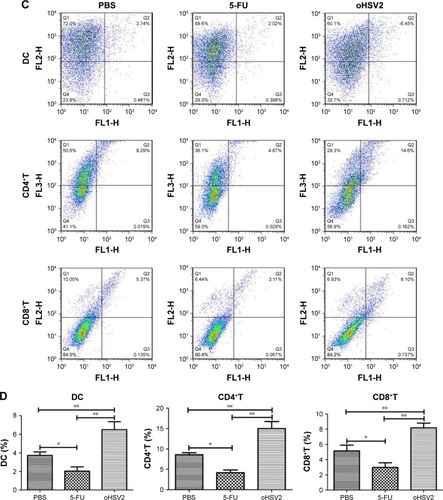 Figure 5 The oHSV2 increased the antitumor immunity in vivo.