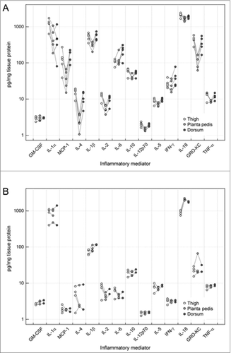 Figure 3. Comparison of the different cytokine levels in samples from different skin areas in limb allografts on POD 5 and control skin. Levels in pg/mg tissue protein are shown in log-scale at the different skin locations (thigh, planta pedis and dorsum). Lines indicate the paired design as samples at the different skin areas were taken from the same allograft. In general, tissue cytokine levels were found to be higher in the thigh and dorsum of allograft skin during moderate grade II rejection, compared to the planta pedis (A). This phenomenon was not true for baseline cytokine protein levels observed in naïve, non-transplanted control skin collected at the 3 defined sampling sites (B).