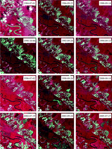Figure 4.  A graphic version of a subset of a full resolution movie loop for the WRS path 16/row 36 LTSS showing the geometric integrity and radiometric consistency among the images of this LTSS. The ground area of each image window is 5.7 km by 5.7 km. Notice the late September and October images appear darker than the pre-mid-September images, illustrating a dependency of the residual spectral variability on the day-of-year of the acquisition date, with which both solar geometry and vegetation phenology vary.