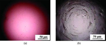 Figure 8. (Colour online) Optical micrographs of worn ball surface, θ = 45º, Fn = 100 N. (a) worn Al2O3 ball; (b) worn Ti6Al4V ball.