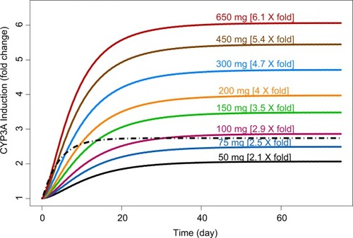 Figure 5 Simulations of CYP3A induction kinetics.