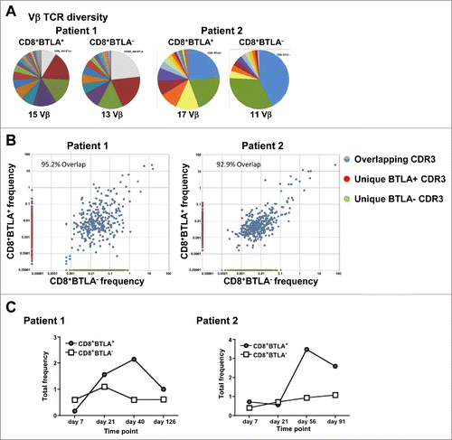 Figure 5. In vivo tracking of infused CD8+BTLA+ and CD8+BTLA− subsets. TIL (100 × 106 cells) from the infusion product of treated patients were sorted into bulk CD8+ and CD8+ BTLA+ and CD8+BTLA− subsets and flash frozen. PBMCs collected at the labeled time points were treated in the same manner. DNA was isolated from the banked samples as described in Methods and sent for CDR3 sequencing at Adaptive Biotechnologies. (A) Vβ TCR diversity shown as pie charts for each subset with the total number of Vβ clonotypes found. (B) Overlap of each CDR3 sequence for the sorted CD8+BTLA+ and CD8+BTLA− subsets from the infusion product. Overlapping CDR3s are shown in blue, whereas CDR3 sequences found only in the CD8+BTLA+ subset are shown in red, and those found only in the CD8+BTLA− subset are shown in green. The axis shows the frequency of each CDR3 sequence for each subset within the infusion product. The percentage of the infusion product consisting of overlapping subsets is indicated. (C) Frequency of the unique CD8+BTLA+ and CD8+BTLA− subsets present in the blood over time.