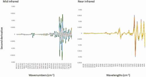 Figure 1. Second derivative of Kakadu plum dry powder samples analysed using either mid- or near-infrared spectroscopy.Figura 1. Segundo derivado de las muestras de polvo seco de la ciruela de Kakadu analizadas mediante espectroscopía de infrarrojo medio o cercano