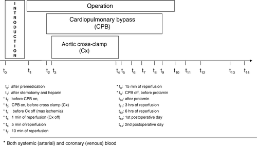 Figure 1.  Study design. The time course of operation and sampling is indicated.