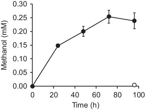 Figure 4. Production of methanol from glucose by E. coli expressing mdh-His6 and hps-phi.