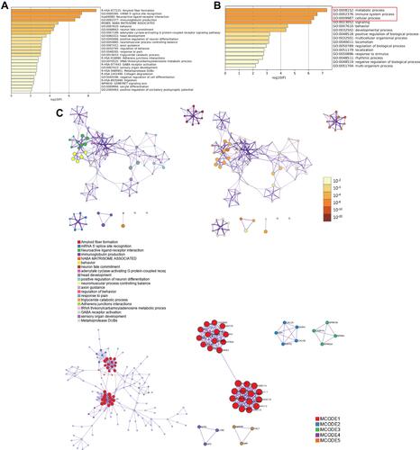 Figure 4 Functional enrichment analysis of differentially expressed genes (DEGs) in ovarian cancer patients with distinct SCNN1A levels via Metascape database. (A and B) The gene ontology (GO)-enriched terms colored according to P-values. (C) Network of GO-enriched terms colored according to clusters and P-values.