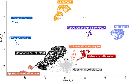 Figure 4 A uniform manifold approximation and projection (UMAP) plot shows the unbiased melanoma tissue classified into seven cell types.