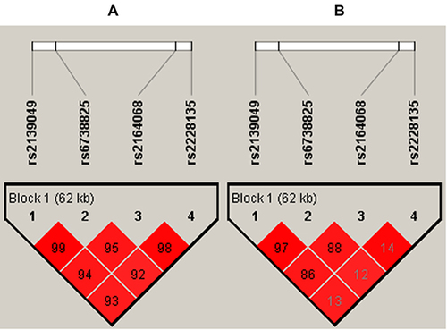 Figure 2 Haplotype block map for the PLCL1 genetic loci (rs2139049, rs6738825, rs2164068, and rs2228135). (A) The numbers inside the diamonds indicate the D’ for pairwise analyses. (B) The numbers inside the diamonds indicate the r2 for pairwise analyses. The colors represent the degree of linkage disequilibrium: the redder the color, the stronger the linkage disequilibrium.