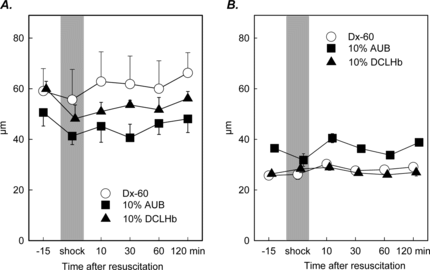 Figure 1 Diameter of arterioles (A) and postcapillary venules (B) in striated skin muscle after hemorrhagic shock and resuscitation (mean ± SEM, n = 6–8 per experimental). No significant changes were observed over the entire observation period.