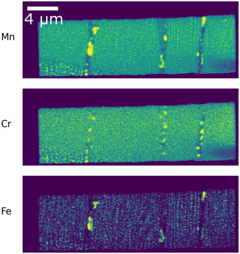 Figure A1. Ex-situ annealed sample. The ex-situ sample was directly heat-treated in bulk at 375 °C for 8 h after which it was extracted and prepared by FIB-SEM.