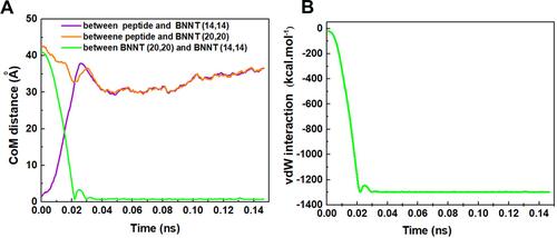 Figure 7 (A) the changes of CoM distance between the peptide HA-FD-13 and BNNT (20,20), peptide HA-FD-13 and BNNT (14,14), BNNT (20,20) and BNNT (14,14), (B) vdW interaction energy between the BNNT (14,14) and BNNT (20,20) as a simulation time.