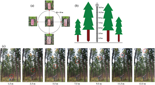 Figure 3. (a) The sampling strategy within a plot with five elementary vertical sampling points (VSPs) located at the center and four cardinal points, respectively; (b) a diagram of the portable measurement system at different heights (1.5–13.5 m) with 2 m interval; (c) field pictures were taken at 1.5–13.5 m with 2 m interval, respectively, on September 9, 2020. The upward DHP is within the red circle.