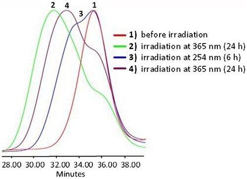 Figure 10. SEC data of APE-PIB-APE-1 recorded by RI detector; before irradiation (1), after irradiation at 365 nm for 24 h (2), followed by irradiation at 254 nm for 6 h (3), followed by irradiation at 365 nm for 24 h (4).