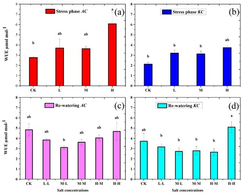 Figure 7. Effect of salt stress and RWP of water use efficiency on A. corniculatum species (a, c) and K. candel (b, d) the small letter indicates significant difference at (p < 0.05) using Duncan’s multiple range tests.