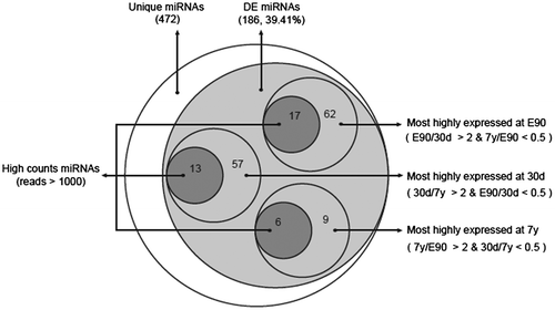 Fig. 3. Characteristics of the differentially expressed miRNAs among porcine livers at different developmental stages.