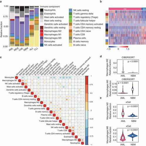 Figure 1. Differential composition of TIL subpopulations in hematologic malignancies. (a) Relative TIL fractions in the BMs of AML (n = 536), MDS (n = 206), CML (n = 76), NBM (n = 74), ALL (n = 749), and CLL (n = 448), as estimated from gene-expression data (GSE13159) using CIBERSORT. CIBERSORT results are represented as mean TIL fractions across samples for each disease type. (b) Heat map showing TIL subpopulations that were differentially infiltrated (FDR < 0.05) between AML and healthy controls. p-values were calculated by Student’s t-tests and adjusted for multiple testing (FDR). Side bar on the left denote immune cell types as indicated in (a). (c) Correlation matrix of all 22 immune cell proportions in AML patients from Cohort 1. Variables have been ordered according to the correlation coefficient using hierarchical clustering. (d and e) Violin plots showing the abundance of M2 (up panel) and M0 macrophages (bottom panel) in AML (n = 536) and controls (n = 74), as estimated by CIBERSORT (d) or xCell (e). Boxplots within violin plots show the median and interquartile range of the data distribution. The p-values calculated from Wilcoxon test are shown