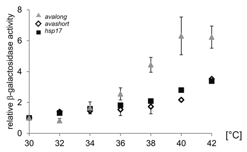 Figure 3. Reporter activity over temperature range. To elucidate the temperature-dependent RNAT activity of the avashort and the avalong-5′UTRs, reporter activity of both RNAT-bgaB fusions as well as the control hsp17-bgaB were analyzed in E. coli over a temperature range from 30–42 °C in 2 degree steps. The presented results are mean values of a double measurement; mean standard deviation is indicated by error bars. For normalization, the respective 30 °C value was set to 1.