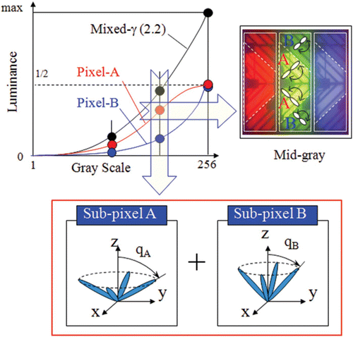 Figure 3. Eight-domain driving for the improvement of the off-axis image quality in the VA mode.