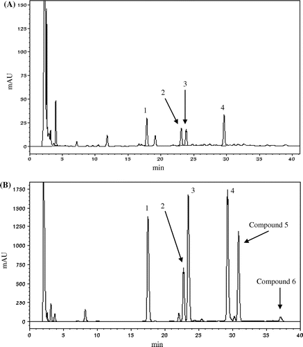 Fig. 3. HPLC analysis of enzymatic reaction products using the Fv-OMT recombinant enzyme.Notes: (A) Standard catechins. Peak identification: 1, EGCG; 2, EGCG4″Me; 3, EGCG3″Me; 4, EGCG3″,5″diMe. (B) Enzymatic reaction products.