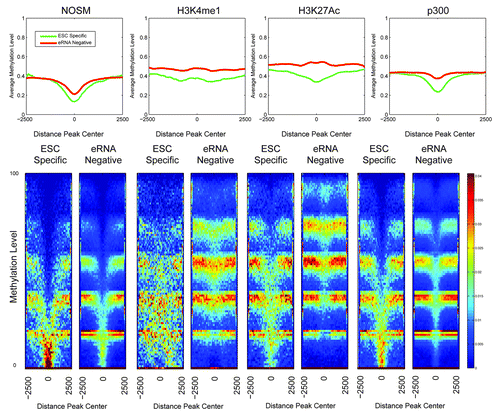 Figure 4. Heatmaps and profiles showing the average methylation levels for the different classes of enhancers, comparing ESC-Specific and eRNA-negative. The x-axis in both profiles and heatmaps corresponds to a 5 kb window centered at each enhancer. The y-axis is the average methylation level, in particular each row in the heatmap correspond to a different methylation level. The colors used in the heatmaps (from blue to red) represents the number of regions with a particular methylation level, with a color scheme legend on the far right of the lower panel.