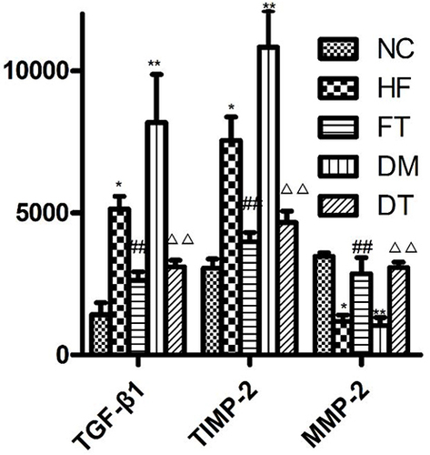 Figure 6 The expression levels of TIMP-2, TGF-β1, and MMP-2 in the livers of diabetic rats before and after L6H4 treatment. Mean ± SD; *P>0.05 vs NC, **P<0.05 vs NC; ##P<0.05 vs HF; ΔΔP<0.05 vs DM.