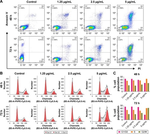 Figure 3 Apoptosis and cell cycle assay.Notes: (A) Flow cytometry analysis of PC-3 cells treated with different concentrations of CONPs for 48 h and 72 h, followed by staining with annexin V-FITC and PI. The apoptosis ratio was increased in a dose-dependent manner. (B) Cell cycle progression assay of PC-3 cells treated with different concentrations of CONPs for 48 h and 72 h. The proliferation of PC-3 cells was strongly suppressed by CONPs in a dose-dependent manner. Cells were arrested in the G2/M phase after 48 h and 72 h of treatment and showed a reduced proliferative capacity. (C) Statistics of the cell cycle distribution.Abbreviation: CONPs, cuprous oxide nanoparticles.