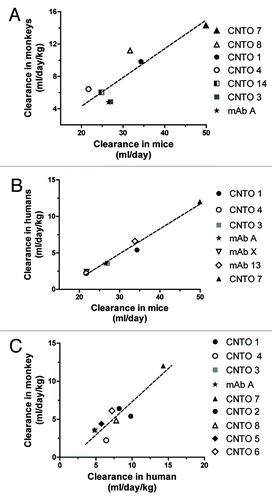 Figure 5. Relationships between clearance values in monkeys, humans, and mice. (A) Correlation between monkey and mouse CL data are shown from the average values in the two studies that did not include coinjected IVIG, (Pearson r = 0.88, p = 0.008). (B) PK correlation between human and mouse data are shown from the average values of these studies (Pearson r = 0.99, p < 0.001). (C) Correlation between monkey and human data are shown from the average values collected from internal studies and the literature (Pearson r = 0.90, p = 0.001).