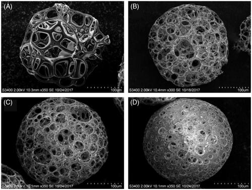 Figure 1. SEM images of porous PLGA microspheres fabricated at different PLGA concentrations of (A) 3%, (B) 5%, (C) 7% and (D) 10%.