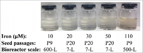 Figure 4. Comparison of final drug substance color made from CHO cell cultures grown in the basal media containing different iron concentrations with different seed passages at different bioreactor scales.