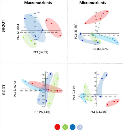 Figure 2. Principal component analysis (PCA) of macronutrients and micronutrients content in both shoot (upper panels) and root (lower panels) tissues of maize plant grown under treatments: C, control; F, F. culmorum in monoculture; S, S. plymuthica in monoculture; SF, both S. plymuthica and F. culmorum in interaction.