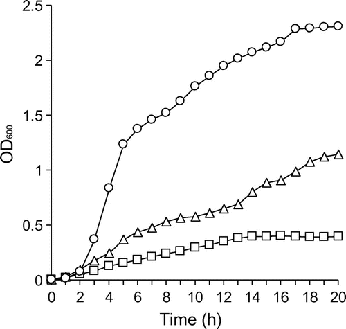 Fig. 7. Determination of TonB specificity of DesA by performing growth assays of tonB double mutants.Notes: ΔentAΔtonB1ΔtonB3 (circle), ΔentAΔtonB2ΔtonB3 (triangle), and ΔentAΔtonB1ΔtonB2 (square) were grown in the −Fe/+DFOB. OD600 was measured every hour for 20 h. A representative example from three independent experiments is shown.