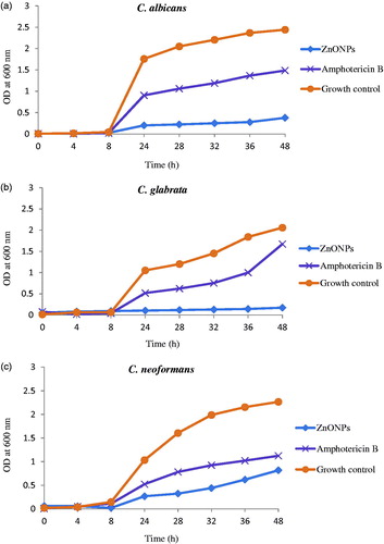 Figure 5. Time kill curve of ZnO NPs against fungi.