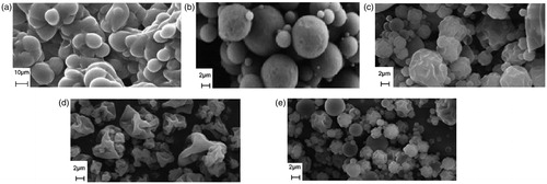 Figure 2. Scanning electron micrographs showing the particle morphology of zanamivir spray-drying powders at various formulations. (a) The powders prepared with zanamivir, Batch 1; (b) the powders prepared with zanamivir/mannitol (1/4), Batch 2; (c) the powders prepared with zanamivir/mannitol/leucine (1/3/1), Batch 3; (d) the powders prepared with zanamivir/mannitol/leucine (1/2/2), Batch 4; (e) the powders prepared with zanamivir/mannitol/leucine (1/1/3), Batch 5.