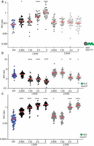 Figure 1. Disruption of NPC permeability barrier by 1,6HD. (a-c) Nuclear compartmentalization of GFP-based reporter proteins (MG5, GFP-NES, GFP-NLS) in yeast cells exposed for 10 min with the indicated concentrations of 1,6HD or 2,5HD. MG5 is a fusion of Maltose Binding Protein and 5 GFPs; GFP-NLS features the classical Simian Virus 40 NLS and GFP-NES the Stress-Seventy subfamily B1 NES. The N/C ratio is the ratio of the average fluorescence in the nucleus (N) over that in the cytoplasm (c). One-way ANOVA with Dunnett’s multiple comparison test comparing treatment to control was used to calculate the statistical significance in panel a and C and the non-parametrical Kruskal-Wallis with Dunn’s multiple comparison test in B. Error bars reflect the Standard Error of the Mean (SEM) of three independent experiments and a total of at least 30 cells per condition. P-values*<0,05 **<0,01 ****<0,0001.