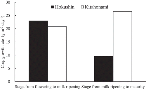 Figure 2. Crop growth rates from flowering to milk-ripe stage and from milk-ripe stage to maturity stage in winter wheat varieties ‘Hokushin’ and ‘Kitahonami’ (Kasajima et al., Citation2016).